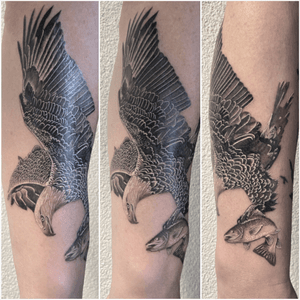 #tattoo #tatouage #eagle #eagletattoo #trout #trouttattoo #aigle #aigletattoo #bird #birdtattoo #fish #fishtattoo #realistic #realistictattoo #realisticink #blackandgreyink #blackandgrey #lausannetattoo #tattoolausanne #fann_ink