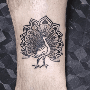 Peacock tattoo 