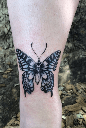 Pretty butterfly on the ankle #butterfly 