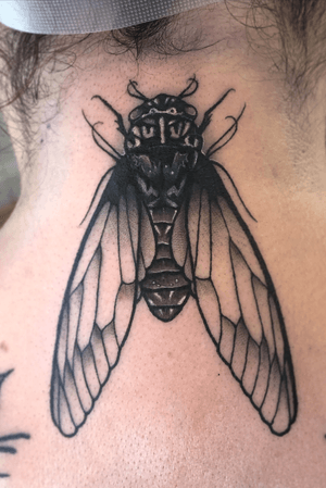 Cicada insect 🦟 / black and grey/ neo traditional