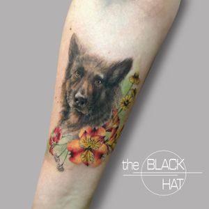 A piece done by our realism master Andy @andylopeztattoo to pay tribute to another wonderful companion. We don’t deserve dogs. #theblackhattattoo