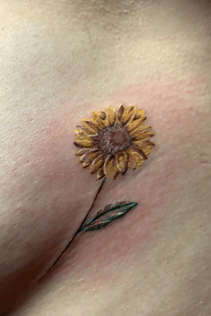Sun flower 
