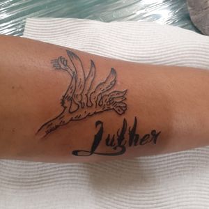 Kangaroo paw & Luther script tattoo 