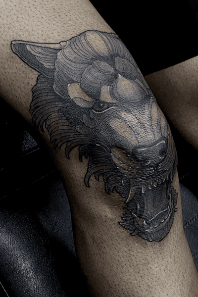 Gnarling wolf on knee