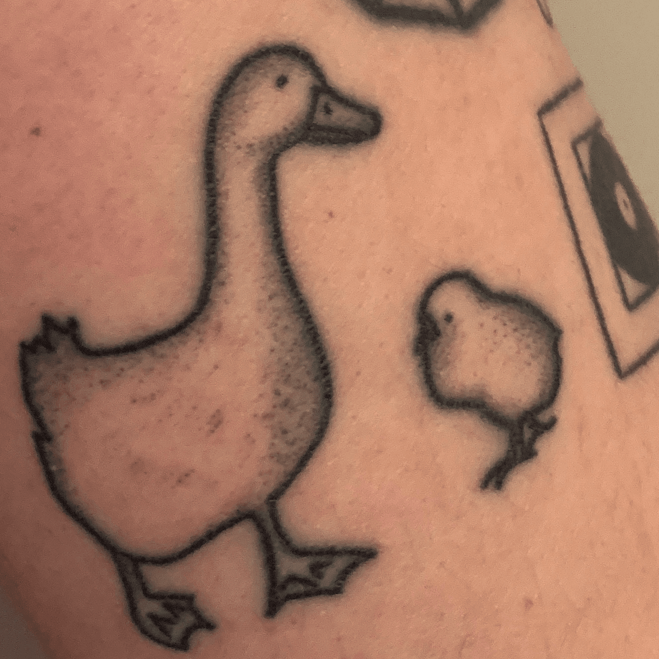 Buy Duck Outline Temporary Fake Tattoo Sticker set of 2 Online in India   Etsy
