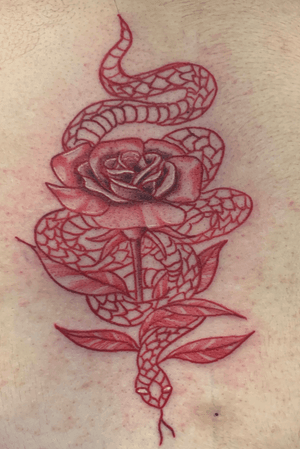 Red ink snake rose 