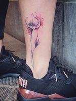 Healed #poppy #poppytattoo #flowers #flower #watercolorflower #watercolorpoppy #graphic #graphictattoo #bruxelles #Brussels #ankle #ankletattoo #pink #pinkflower #rose #cute #small #tiny 
