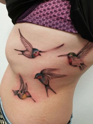 Birds tattoo #birds #birdstattoo #colorrealismtattoo  #colortattoo