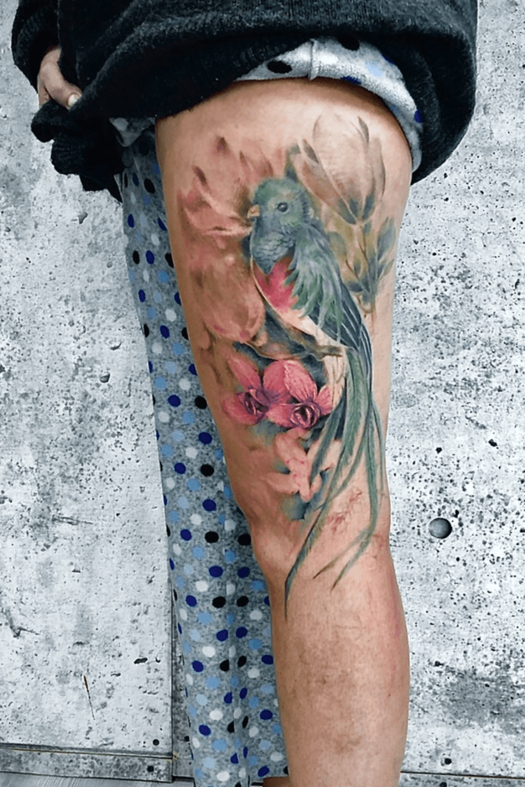 50 Amazing Parrot Tattoos with Meanings  Body Art Guru