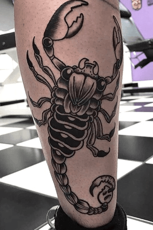 Scorpion 2017