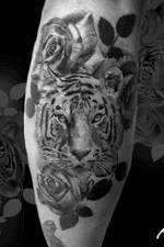 Instagram: @rusty_hst Black and grey tiger. Love these pieces. #tiger #blackandgrey #realism #blackwork 