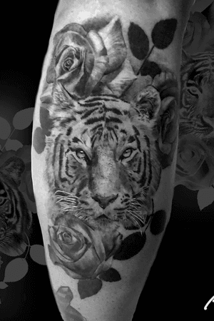 Instagram: @rusty_hst Black and grey tiger. Love these pieces.#tiger #blackandgrey #realism #blackwork  