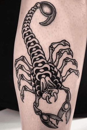 Scorpion 2018