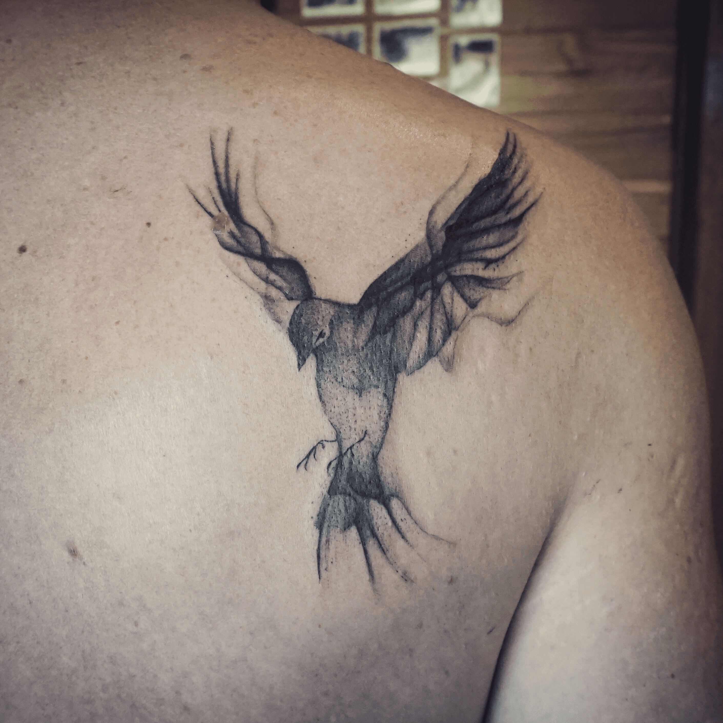 Bird tattoo by Uncl Paul Knows  Post 29276