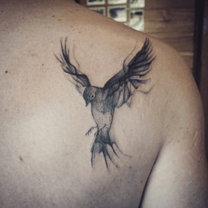 Blackwork bird tattoo - Tattoo Chiang Mai   #Tattoodo #tattoochiangmai #bird #abstract #blackworktattoo #blackworkers #blackink #btattooing #blxckink #onlyblackart #instatattoo #tattoooftheday #inklovers #inkedup #ChiangMai #tattoostudiochiangmai #blacktattooart #tattooart 
