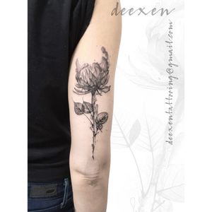 In the Dark ➡️Contact: deexentattooing@gmail.com ✴️Merci Maja! . . . #tatouages #flowertattoodesign #tatouagefemme #peonytattoo #tatouagefrance #greytattoo #peonytattoos #shadowtattoo #blackandwhitetattoos #tatouagefleur #deexen #flowertattoos #tatouageparis #tatouagebras #blackandwhitetattoo #flowertattoodesigns 
