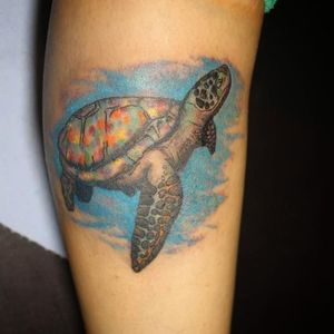 Si quieres ver más diseños puedes encontrarlos en mi Instagram como Isaac_will_tattoo. Citas y cotizaciones disponibles ✌️ (55) 59303856 FB: Oso S-tampa #tattoo #tatuaje #cdmx #tatuadoresmexicanos #tatuajesadomicilio #tatuando #inked #inktattoos #willtattoo #isaacwill #tortuga #turtle #marino #mar #blue #azul #reptil #sea #ocean #tortoise #osostampa #tintaypiel