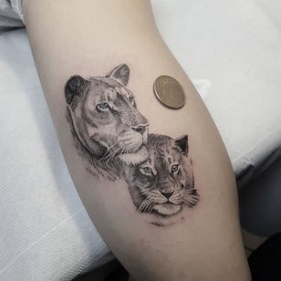Lion tattoo by Sulejman Fani #SulejmanFani # lion #realism #fineline #blackandgrey #blueeyes #lioness #cub #cat #nature #animal