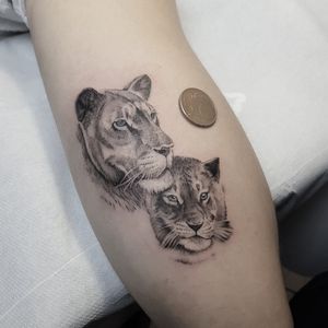 Lion tattoo by Sulejman Fani #SulejmanFani #lion #realism #fineline #blackandgrey #blueeyes #lioness #cub #cat #nature #animal