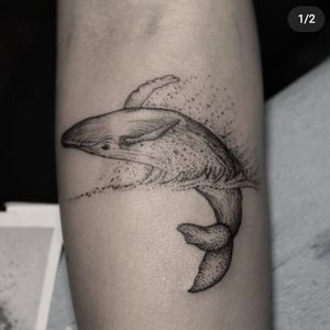 Si quieres ver más diseños puedes encontrarlos en mi Instagram como Isaac_will_tattoo.Citas y cotizaciones disponibles ✌️(55) 59303856FB: Oso S-tampa#tattooink #tatuaje #tinta #tattoo #tintaypiel #ballena #mar #drawing #design  #diseño #puntillismo #tattooart #tattoowork #cdmx #mexico #isaacwill