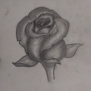 Rose stencil