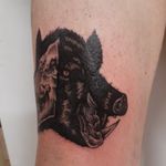 Black work boar skull and boar head tattoo  #Boartattoo #Boar #blackworktattoo 