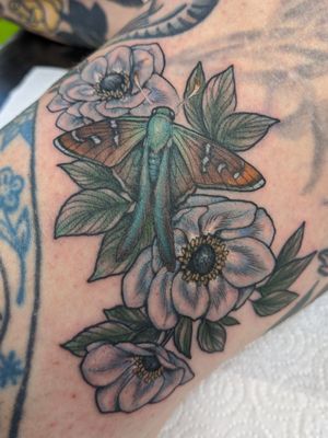 Fluffy little moth with some anemones done on my boss Jen. 