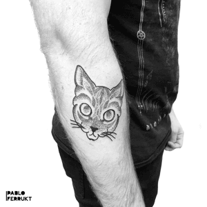 After one week of holidays, tomorrow I will be back in the studio.I am already looking forward to tattoo again.Thanks @aaron_asc_ for choosing my favorite cat!  #dotworktattoo ....#tattoo #tattoos #blackwork #ink #inked #tattooed #tattoist #blackworktattoo #copenhagen #københavn #colortattoo #tatoveriger #tatted #colordotwork #minimalcolor #tatts #tats #denmark #tattedup #cat#cattattoo #københavn #dotworktattoo #copenhagentattoos #dotworktattoos #dotwork  #tattoocopenhagen 