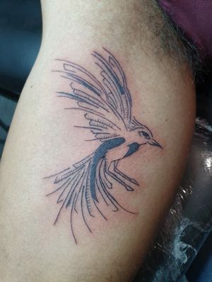 BIRD TATTOO..GRACIAS POR LA CONFIANZA..#tattoo #ink #tatuajes #blackwork #finelinetattoo #oldschooltattoo #traditionaltattoo #neotraditionaltattoo #blackandgreyinkk