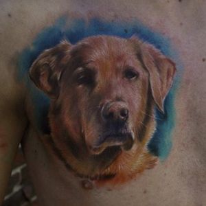 Dog Portrait by Chad Chase of Venom Ink Tattoo