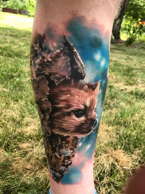 Pine martin looking out of a tree by Chad Chase of Venom Ink 