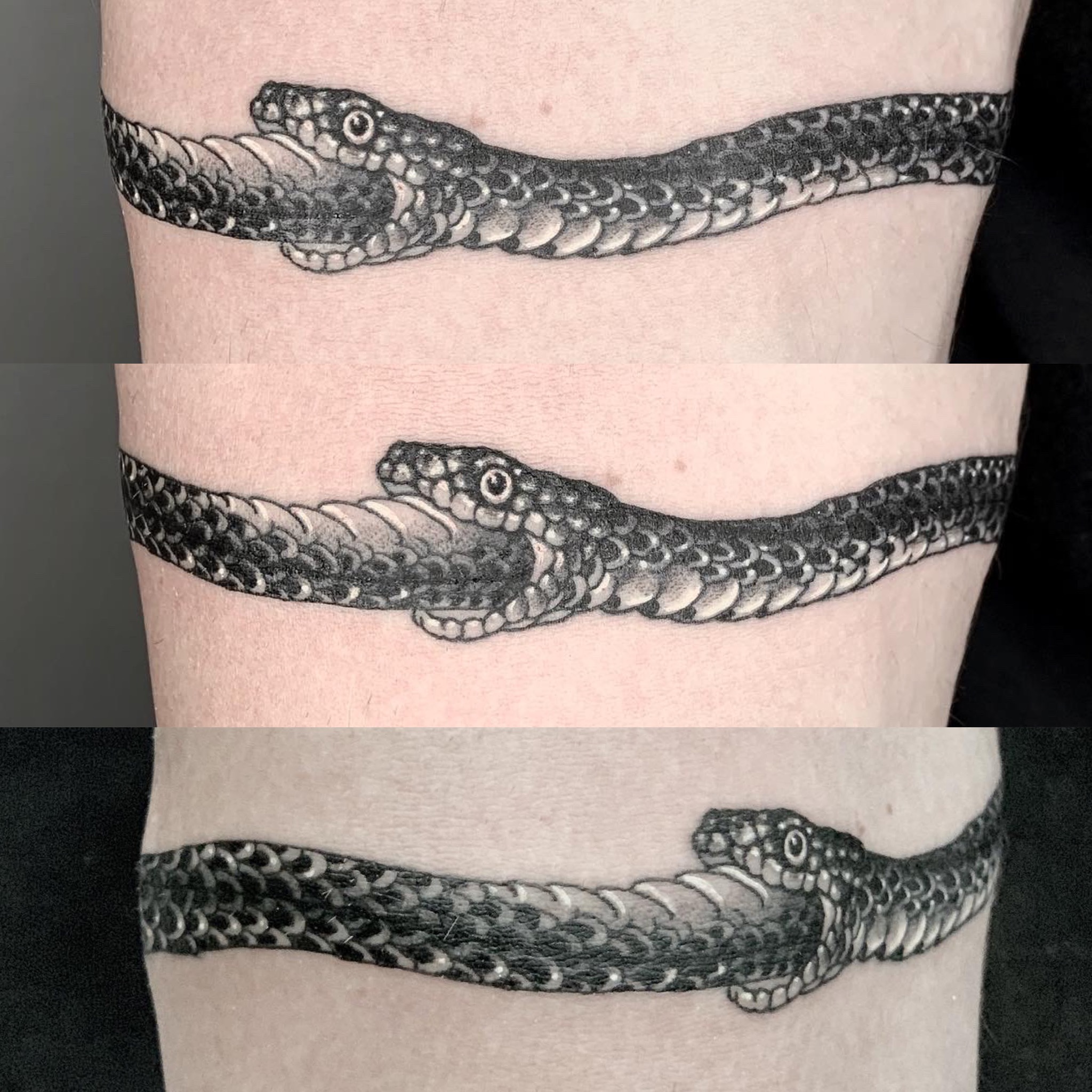 The Very Best Ouroboros Tattoo Designs with Meaning • Tattoodo