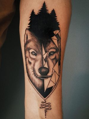 Cover Up - Wolf 