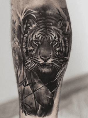 #Realism#BlacknGrey#Tiger#Inksane#Tattoo