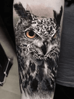 Black 'n grey realism owl.