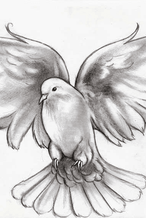 I Want A Dove Because It symbols of love, peace or as messengers. Doves appear in the symbolism of Judaism, Christianity, Islam and Paganism, and of both military and pacifist groups. I love my child and she brings me peace.