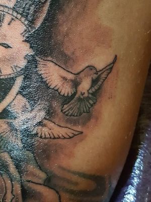 #tattoo #albania #anitattoo #fier #pigeontattoo