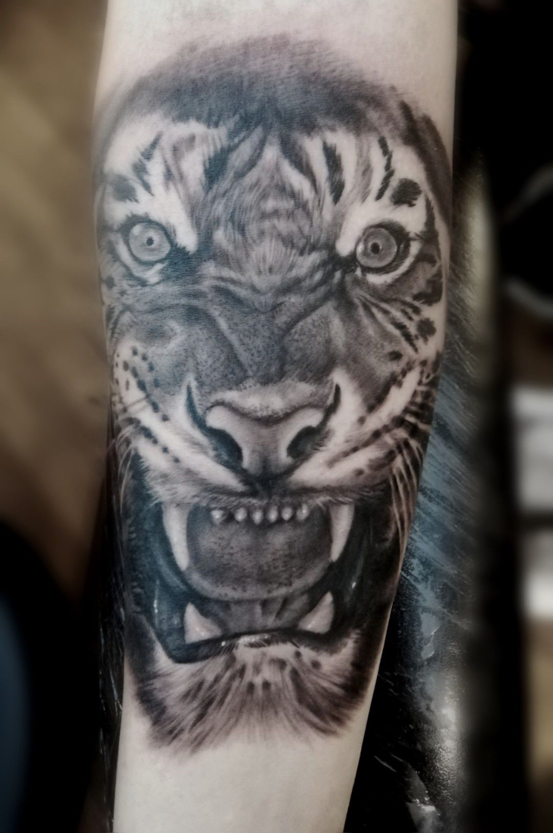 Nathanial Wesley Scutt (@nwscutt) • Instagram photos and videos, image size:1080x1626