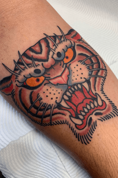 Tiger tattoo done on the forearm, 2.5 hours #tiger #tigertattoo #tora #tigerhead #japanese #japanesetattoo #irezumi #traditional 