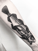 -ATLANTIC COD-Did this dissected fish for Simon 🐟 Thanks again for the opportunity and trust on this nice project 💪🏿...For more tattoos you can find me 🕵🏿@motorinktattooshop in Amsterdam Or@thetattoogarden in The Hague...For more info send me a DM📩...#dotworktattoo #blackworkerssubmission #darkartists #thedarkestwork #blackmasterink #artesobscurae #tattrx #onlythedarkest #blackworkershero #amsterdam🇳🇱 #thehague #art #motorink #thetattoogarden #blackmasterink #fish #atlanticcod #anatomydrawing