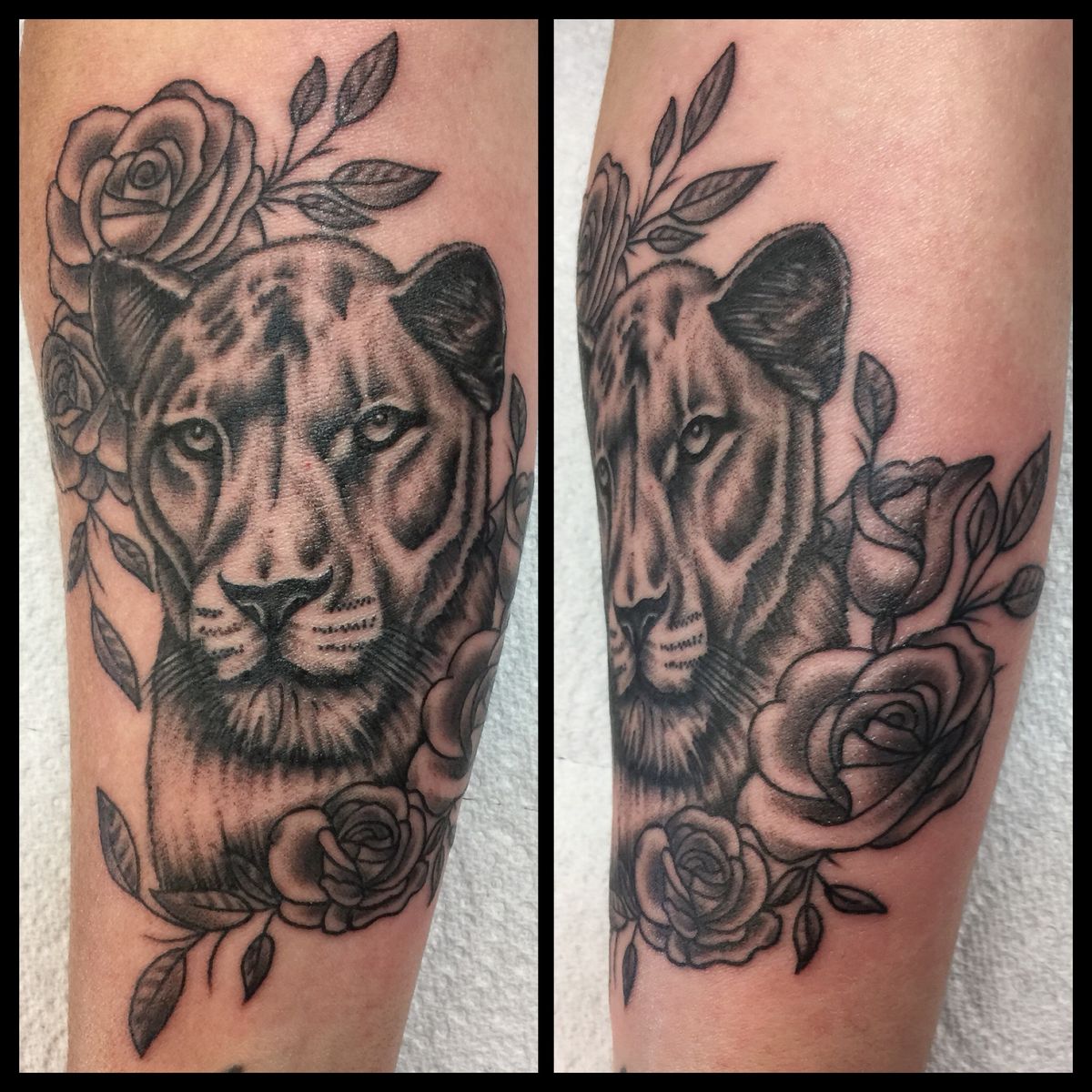 Tattoo uploaded by Mike D Tattoo.. • Fun Lioness forearm piece.. • Tattoodo