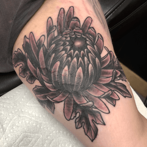 #blackandgrey #chrysanthemum over some scars and stretch marks. 