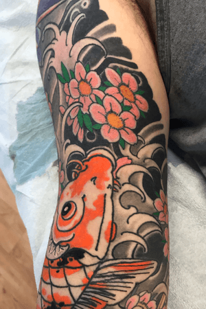 Japanese traditional koi with cherry blossoms