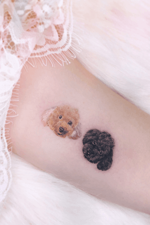 Poodle dog pet portraits by @vyxiwoo_tattooer ••• #singapore #singaporetattoos #vyxiwoo #vyxiwootattooer #dog #dogtattoo #poodles #petportraits #poodletattoo #finelinetattoos #tattoos #animaltattoos #armtattoo #smalltattoos