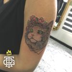 Cat tattoo #cat #sakarya #serdivan #saü #sakaryaüniversitesi #sakaryadövme #çarkcaddesi #mavidurak #adapazarı #cattattoo #floraltattoo #armtattoo #green #tattooartist #tattooing #tatts 