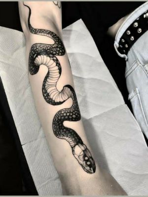 Serpiente blanco y negro 
