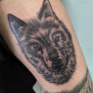 silver and red wolf tattoo