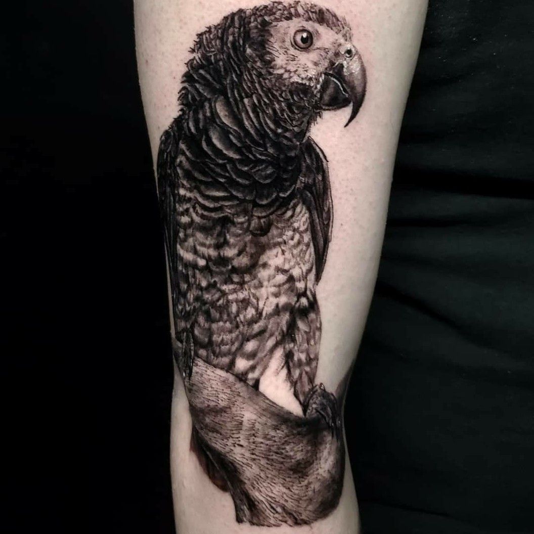 Grey Ink Parrot Tattoos On Back