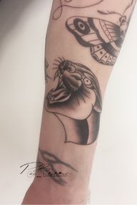 Panther