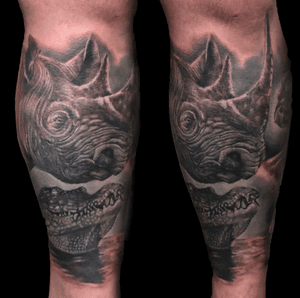 Rhino and crocodile cover up, I didn’t take a before picture.